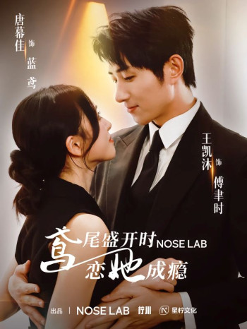 鸢尾盛开时恋她成瘾