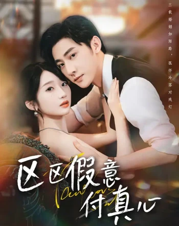 区区假意付真心