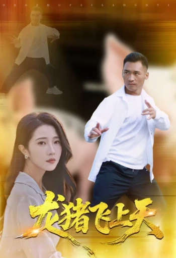 龙猪飞上天