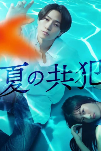 夏天的共犯