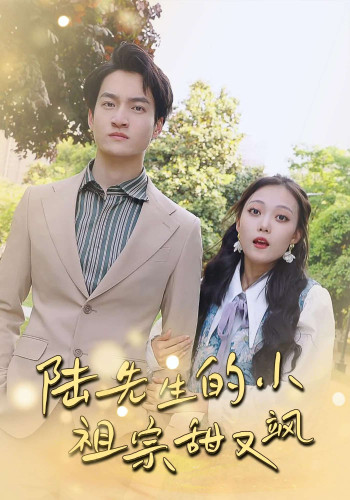 陆先生的小祖宗甜又飒