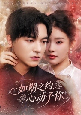 如期之约,心动予你