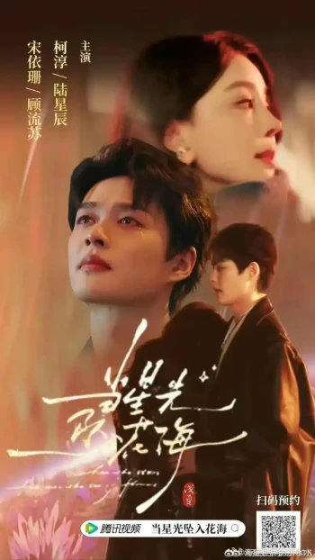 当星光坠入花海