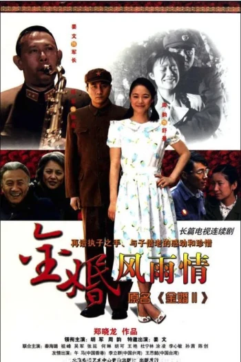 金婚·风雨情