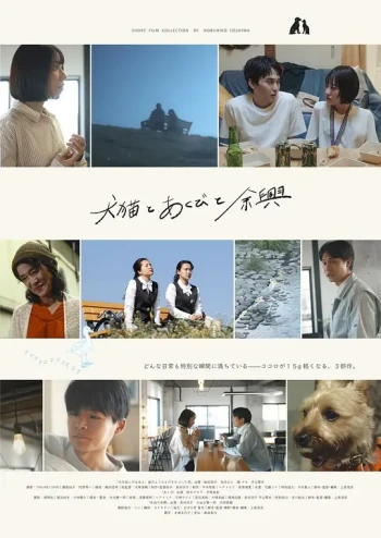 猫狗与哈欠与余兴