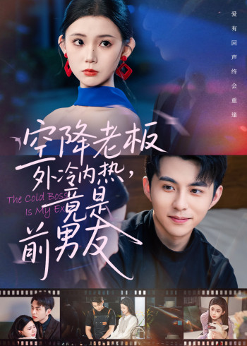 空降老板外冷内热,竟是前男友未删减版