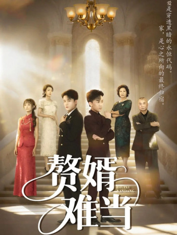 婿业难成(赘婿难当)