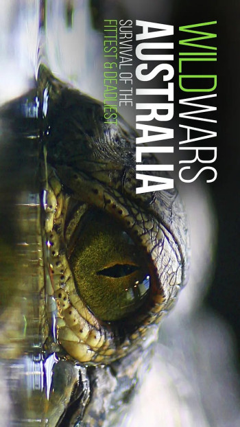 狂野澳洲 第四季