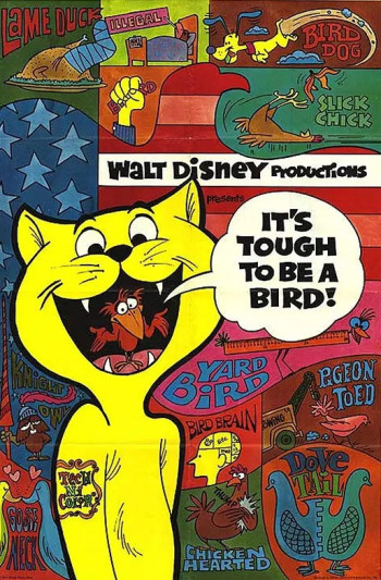 做一只鸟真不容易