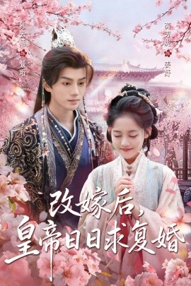 改嫁后,皇帝日日求复婚