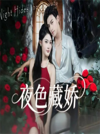 夜色藏娇未删减版
