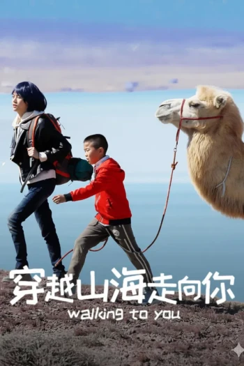 穿越山海走向你