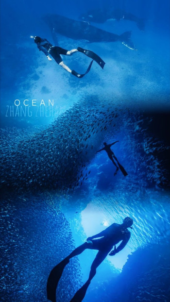 一半是土 ,一半是水