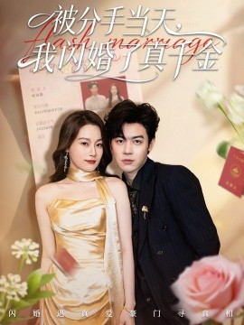 被分手当天,我闪婚了真千金 刚分手被美女姐姐拉去领证