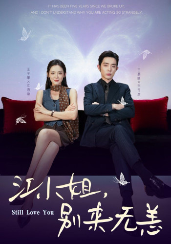 江小姐,别来无恙分手五年,宋先生别纠缠