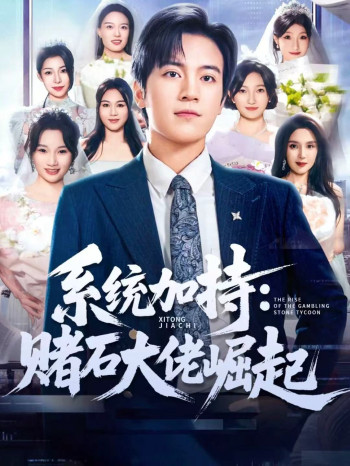 系统加持：赌石大佬崛起