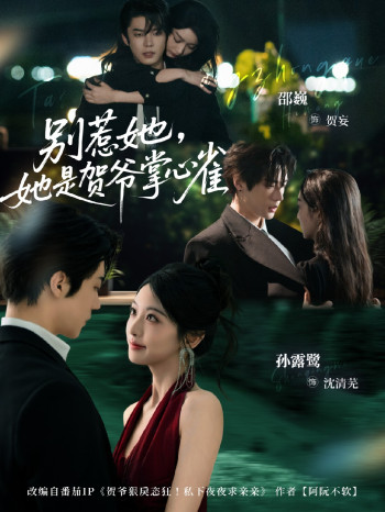 别惹她,她是贺爷掌心雀