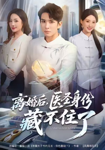 离婚后,医圣身份藏不住了