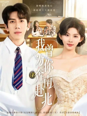 我曾为你奔南赴北