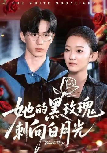 她的黑玫瑰刺向白月光