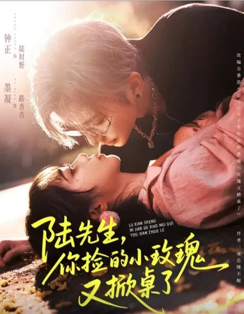 陆先生你捡的小玫瑰又掀桌了