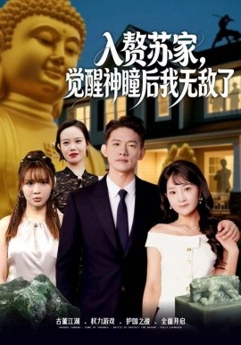 入赘苏家,觉醒神瞳后我无敌了