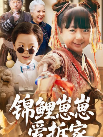 锦鲤崽崽爱拆家