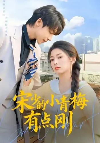 宋少的小青梅有点刚